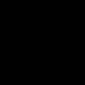 Meet your Posher, Blake